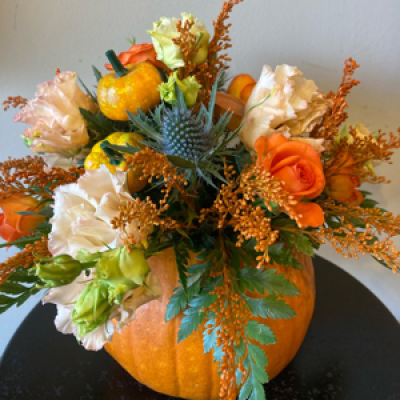 Pumpkin Perfection - Fresh pumpkin with a selection of seasonal flowers arranged in oasis. A novelty pick included.