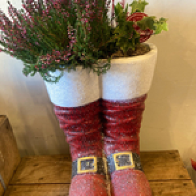 Santas boots X-Large - Beautiful X-Large Santa boots planter filled with winter plants . Finished off with Christmas pick and twigs.